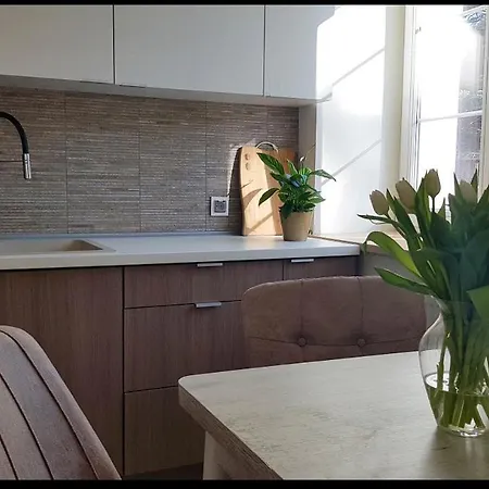 Luxury 1 Apartment